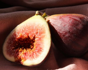 labia fruit