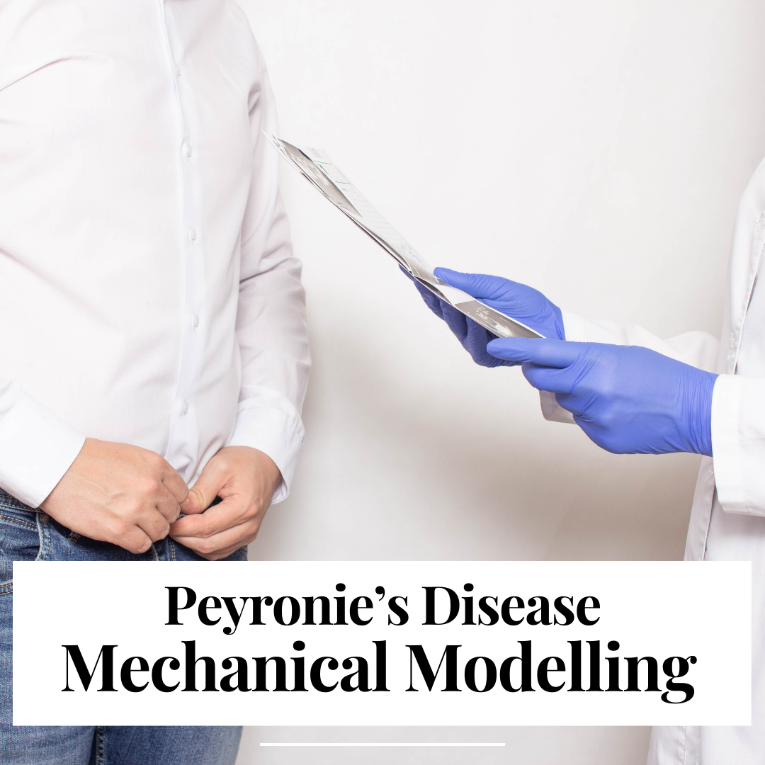 Peyronie’s Disease Mechanical Modelling